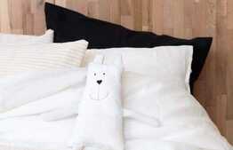 Apartament cu o camera, ultracentral, 40 mp, zona Eroilor