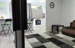 1 camera, 32 mp, zona strazii Tudor Ciortea