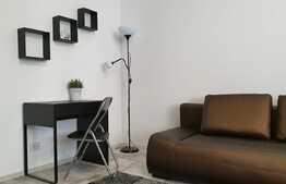 1 camera, 32 mp, zona strazii Tudor Ciortea