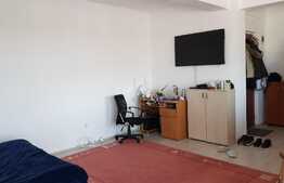 Apartament 1 camera, panorama, 42 mp, zona Lidl!