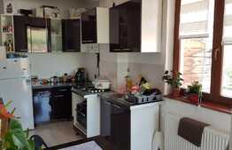 Apartament 1 camera, panorama, 42 mp, zona Lidl!