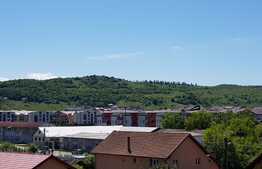 Apartament 1 camera, panorama, 42 mp, zona Lidl!