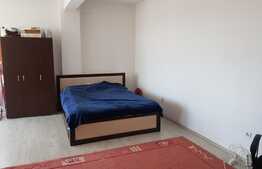 Apartament 1 camera, panorama, 42 mp, zona Lidl!