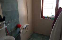 Apartament 1 camera, panorama, 42 mp, zona Lidl!