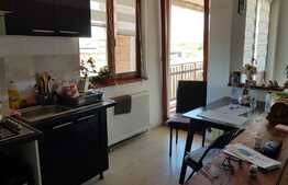 Apartament 1 camera, panorama, 42 mp, zona Lidl!