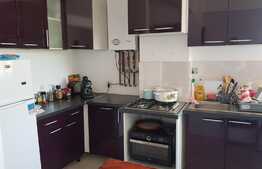 Apartament 1 camera, panorama, 42 mp, zona Lidl!