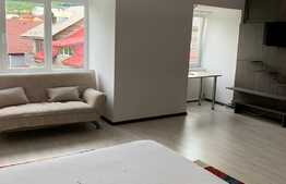 Apartament cu 1 camera, 50 mp, zona strazii Campului