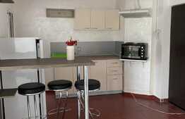 Apartament cu 1 camera, 50 mp, zona strazii Campului