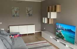 2 camere, 55 mp, mobilat modern, pet friendly, zona Grand Park