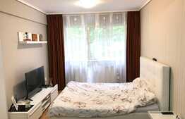 Apartament 1 camera, 33 mp utili, zona Platinia