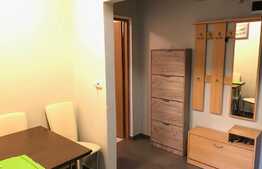 Apartament 1 camera, 33 mp utili, zona Platinia