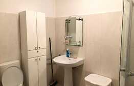 Apartament 1 camera, 33 mp utili, zona Platinia