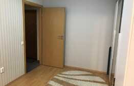 Apartament 1 camera, 33 mp utili, zona Platinia