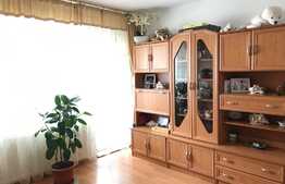 Apartament 1 camera, 35 mp utili, zona strazii Plevnei