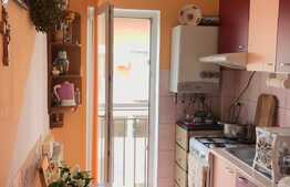 Apartament 1 camera, 35 mp utili, zona strazii Plevnei