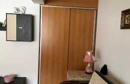 Apartament 1 camera, 35 mp utili, zona strazii Plevnei