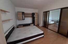 2 camere, 53 mp, finisat, partial mobilat, zona Calea Turzii