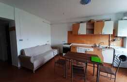 2 camere, 53 mp, finisat, partial mobilat, zona Calea Turzii