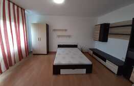 2 camere, 53 mp, finisat, partial mobilat, zona Calea Turzii