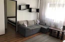 Apartament 2 camere, 35 mp, etaj intermediar, zona strazii Grigore Alexandrescu