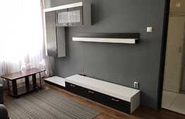 Apartament 2 camere, 35 mp, etaj intermediar, zona strazii Grigore Alexandrescu