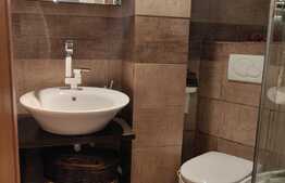 Apartament cu 4 camere, modern, terasa, zona strazii Parang