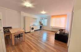 Apartament 2 camere, 47 mp, garaj! Zona strazii Teilor!