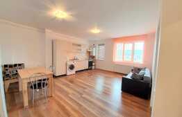 Apartament 2 camere, 47 mp, garaj! Zona strazii Teilor!