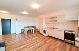 Apartament 2 camere, 47 mp, garaj! Zona strazii Teilor!