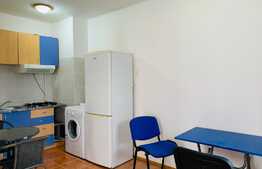 Studio, 42 mp, imobil nou, zona Golden Tulip