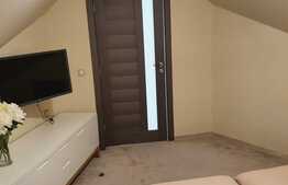 Apartament pe 2 nivele, 2 camere, 50 mp, zona Intre Lacuri