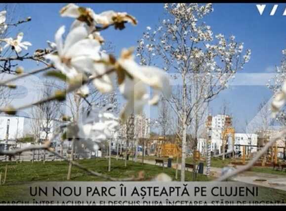 Apartament de închiriat 2 camere Gheorgheni - 50828AI | BLITZ Cluj-Napoca | Poza8