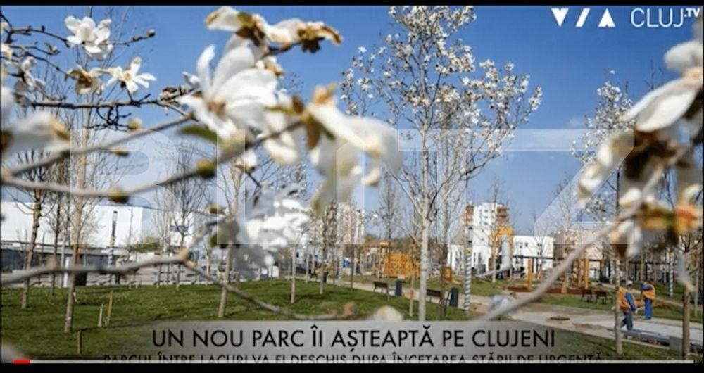 Apartament de închiriat 2 camere Gheorgheni - 50828AI | BLITZ Cluj-Napoca | Poza8