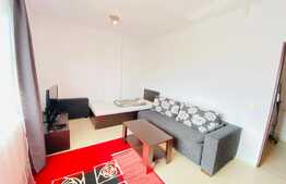 Apartament cu o camera, 40 mp, mobilat modern, zona strazii Observatorului