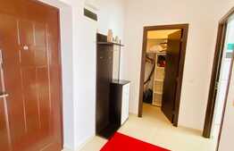 Apartament cu o camera, 40 mp, mobilat modern, zona strazii Observatorului