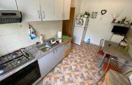 Apartament cu 1 camera, 37 mp, mobilat utilat, zona Stejarului