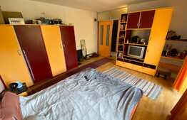 Apartament cu 1 camera, 37 mp, mobilat utilat, zona Stejarului