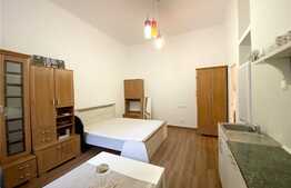 Apartament cu o camera, 27mp, zona centrala