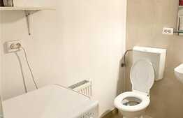 Apartament cu o camera, 27mp, zona centrala