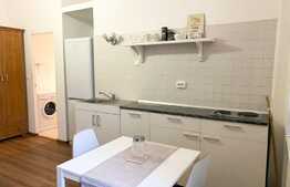 Apartament cu o camera, 27mp, zona centrala