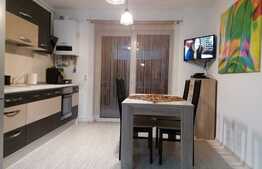 Apartament cu 3 camere, 60 mp, mobilat modern, parcare, curte 150 mp, zona USAMV