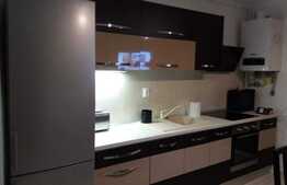 Apartament cu 3 camere, 60 mp, mobilat modern, parcare, curte 150 mp, zona USAMV
