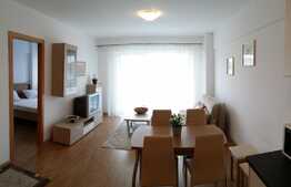 2 camere, terasa, parcare, zona Viva City