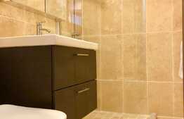 Apartament cu 3 camere, decomandat, modern, PetFriendly, zona UMF