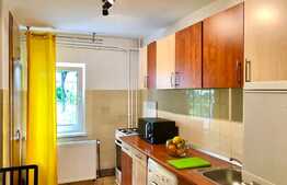 Apartament cu 3 camere, decomandat, modern, PetFriendly, zona UMF