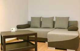 Apartament cu 3 camere, decomandat, modern, PetFriendly, zona UMF