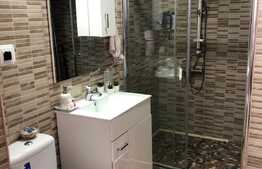 Apartament 2 camere, 47 mp, parcare, terasa, zona Urusagului