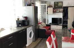 Apartament 2 camere, 47 mp, parcare, terasa, zona Urusagului