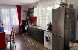 Apartament 2 camere, 47 mp, parcare, terasa, zona Urusagului