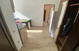 apartament cu 1 camera, 32 mp, mobilat utilat, zona Porii.